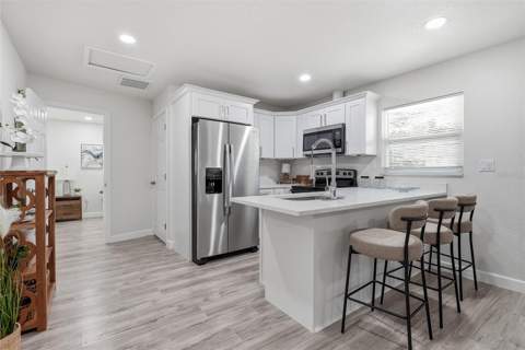 1002 E Seward Street, Tampa FL - photo 13 of 32