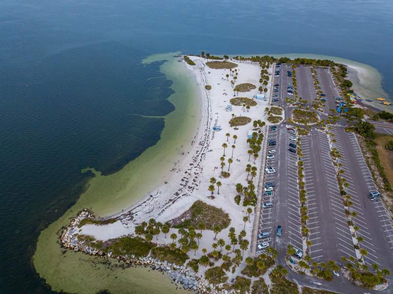 1 bedroom Condominium at 372 Moorings Cove Drive #372, Moorings The Condo, Tarpon Springs — photo 5