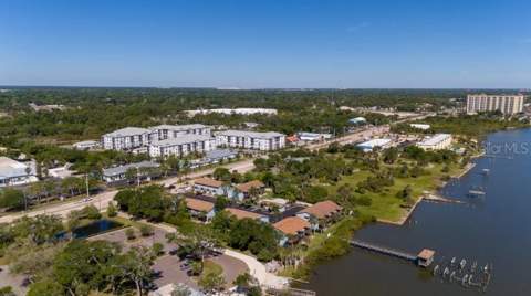3224 Needle Palm Drive, Edgewater FL - photo 20 of 25