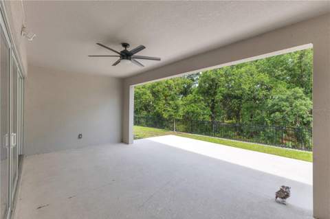 6035 Blue View Way, St Cloud FL - photo 22 of 35