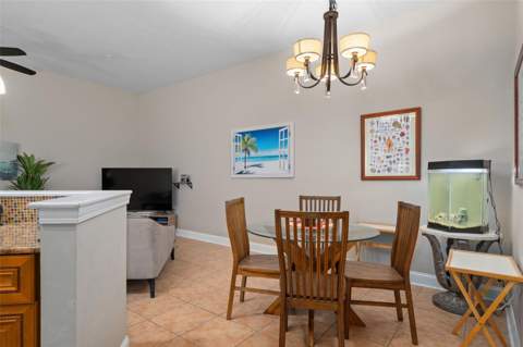 701 Mirror Lake Drive #120, St Petersburg FL - photo 19 of 63