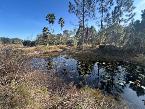 12714 State Road 33, Groveland FL - photo 9 of 22