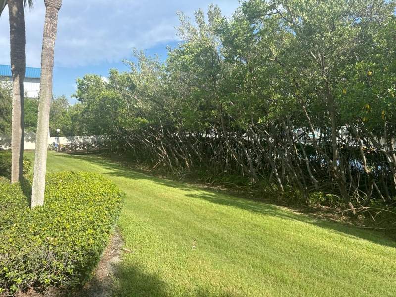 2 bedroom Condominium at 1312 Pasadena Avenue #15, Pasadena Cove Condo, St Petersburg — photo 5
