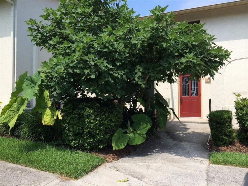 1 bedroom Condominium at 200 MAITLAND AVENUE #34, CAPISTRANO, ALTAMONTE SPRINGS — photo 2