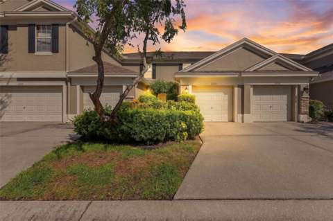 11220 Windsor Place Circle, home for sale in Tampa 33626