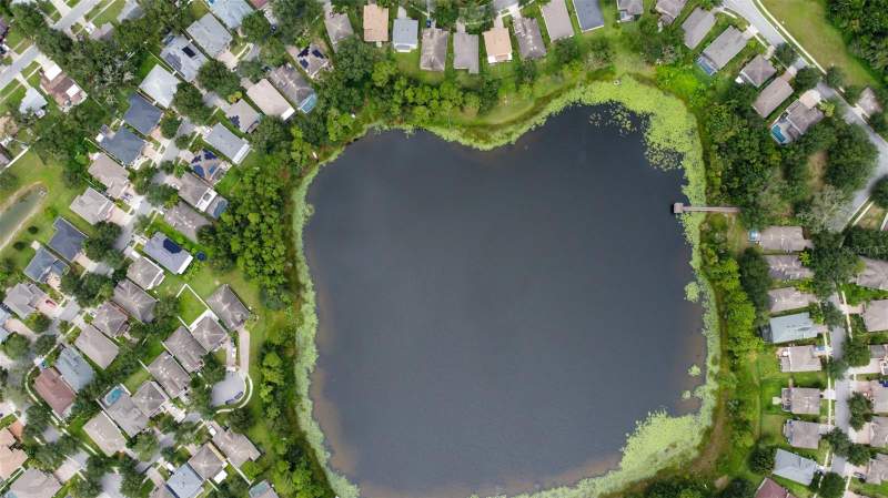 4 bedroom Single Family Residence at 3341 Lake Jean Drive, Enclave At Lake Jean, Orlando — photo 4