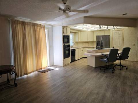 101 Dolphin Drive, Oldsmar FL - photo 17 of 34