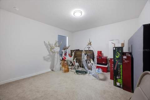 5049 Blue Hammock Court, Kissimmee FL - photo 24 of 35
