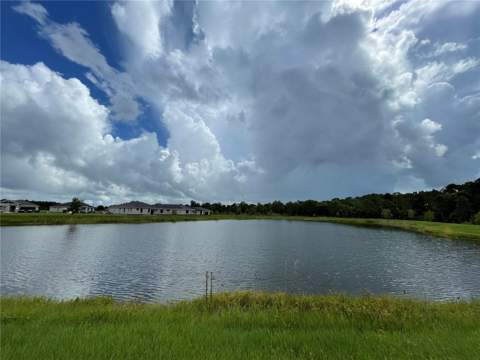3430 Sagebrush Street, Harmony FL - photo 9 of 26