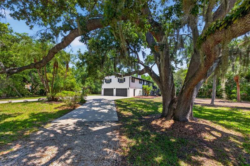 3 bedroom Single Family Residence at 1007 State Street, Country Club Add To Oldsmar Rev, Oldsmar — photo 5