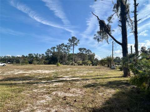 12714 State Road 33, Groveland FL - photo 10 of 22