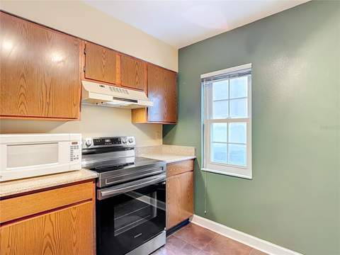 16851 Le Clare Shores Drive, Tampa FL - photo 7 of 53