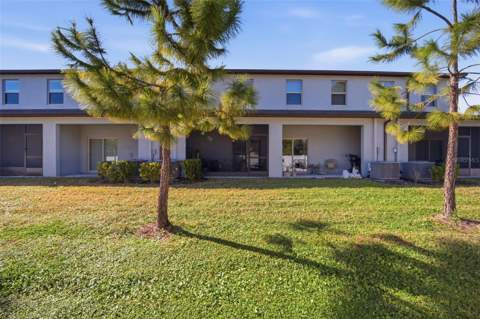 4459 Globe Thistle Drive, Tampa FL - photo 20 of 56