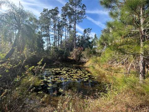 12714 State Road 33, Groveland FL - photo 15 of 22