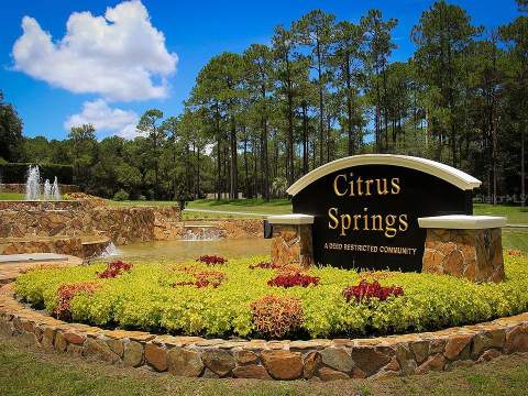 699 W Hallam Drive, Dunnellon FL - photo 6 of 6