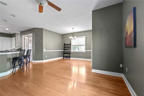 11504 Bellamar Street, Tampa FL - photo 16 of 40