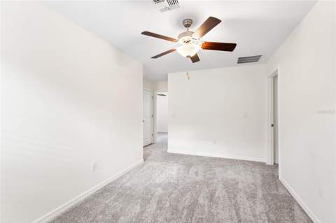 7310 Pearly Everlasting Avenue, Tampa FL - photo 14 of 63