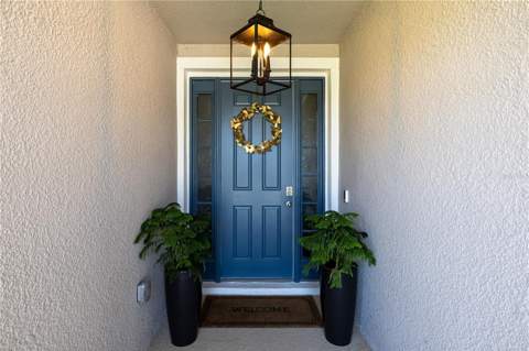 3413 Ivy Hollow Drive, Plant City FL - photo 6 of 72