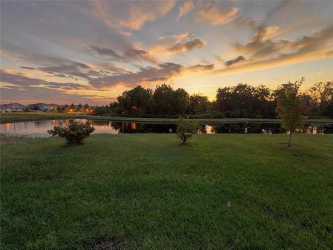 2009 Myrtle Pine Street, Kissimmee FL - photo 20 of 29