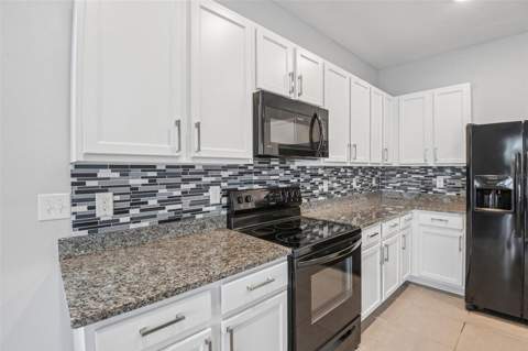 2685 Suncoast Blend Drive, Odessa FL - photo 6 of 6