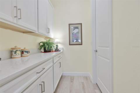 16955 Scuba Crest Street, Wimauma FL - photo 17 of 59