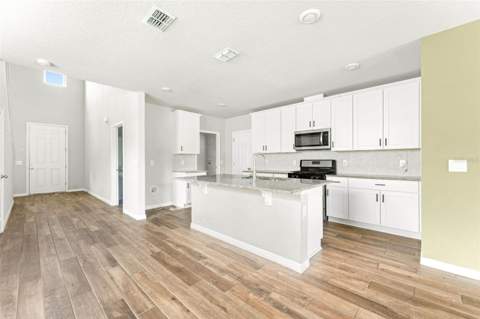 29991 Anahid Drive, Leesburg FL - photo 10 of 30