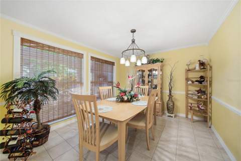 2138 Egret Drive, Clearwater FL - photo 6 of 52