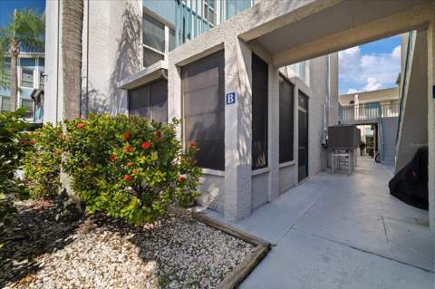 253 Rex Place #B, Madeira Beach FL - photo 19 of 31