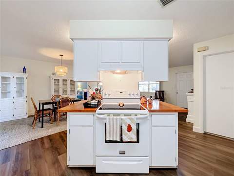 1038 Scotch Pine Court, Leesburg FL - photo 12 of 39
