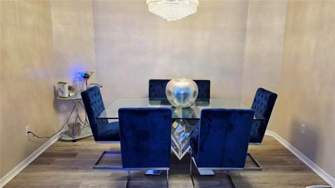 4205 Mast Court, Land O Lakes FL - photo 7 of 48