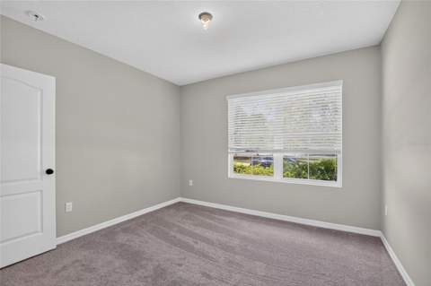 16441 Treasure Point Drive, Wimauma FL - photo 13 of 64
