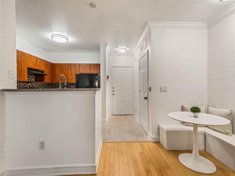 202 E South Street #3051, Orlando FL - photo 7 of 33