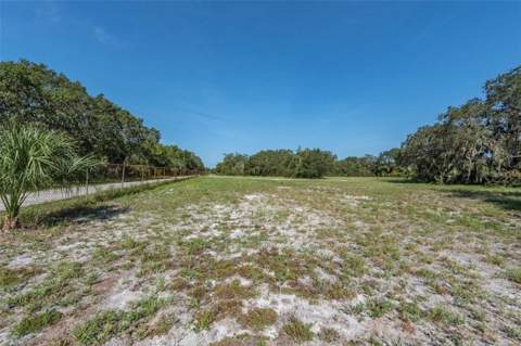 12154 Bullfrog Creek Road, Gibsonton FL - photo 11 of 23