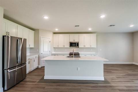 31717 Bienville Lane, Wesley Chapel FL - photo 7 of 31