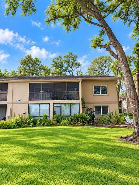 4209 Winding Moss Trail #201, home for sale in Tampa 33613