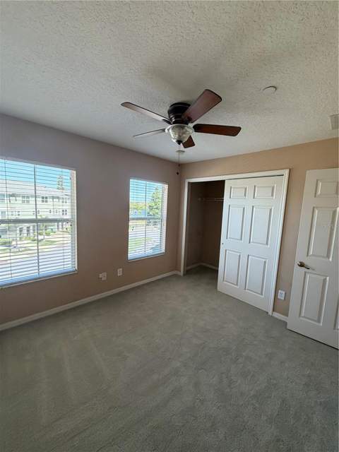 4817 Tuscan Loon Drive, Tampa FL - photo 18 of 23