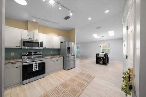 1133 Del Toro Drive, Lady Lake FL - photo 17 of 64