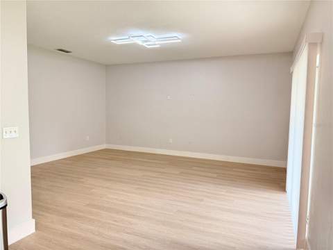 5802 Coquyt Drive, Mount Dora FL - photo 14 of 53