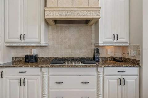 304 Muirfield Loop, Reunion FL - photo 14 of 95