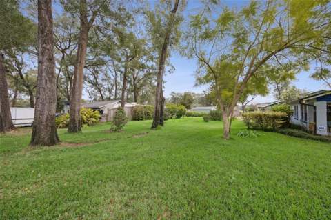 30904 Deal Drive, Sorrento FL - photo 22 of 27