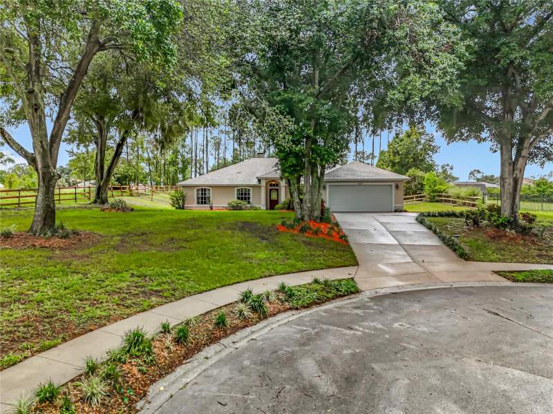 Montverde Pines of Montverde