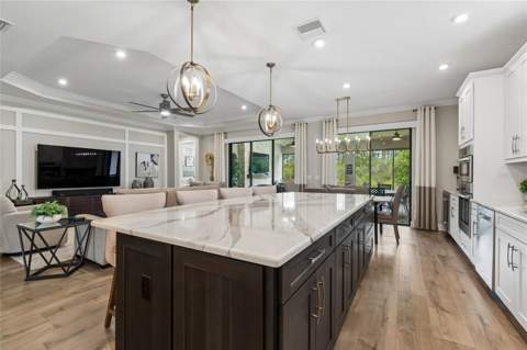 29534 Ginnetto Drive, Wesley Chapel FL - photo 9 of 99