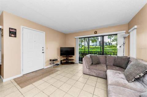 2575 Pine Ridge Way #E1, Palm Harbor FL - photo 6 of 6