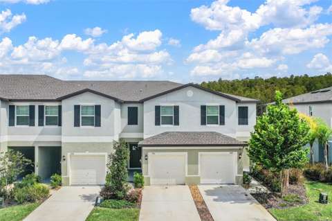 2166 Great Sapphire Lane, home for sale in Lutz 33558
