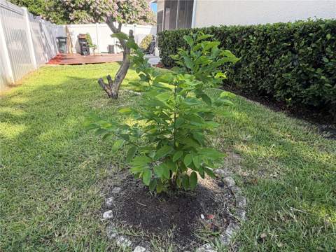 13006 Sunkiss Loop, Windermere FL - photo 14 of 52