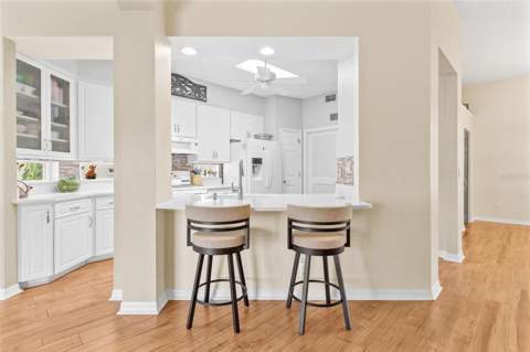 3354 Saint Lucia Court, Tavares FL - photo 19 of 60