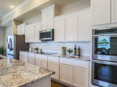 930 Buckeye Drive, Lady Lake FL - photo 6 of 29