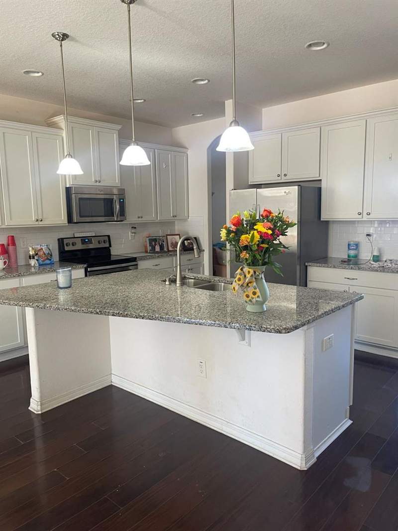 3 bedroom Single Family Residence at 12433 Ballentrae Forest Drive, Ballentrae Sub Ph 1, Riverview — photo 3