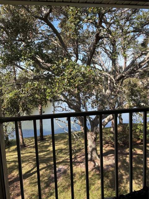 2690 Coral Landings Boulevard #538, Palm Harbor FL - photo 6 of 16