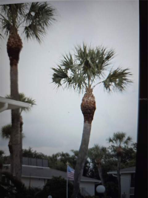 1935 Conway Drive #05, Orlando FL - photo 6 of 36